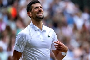 开云app包含德约科维奇新星突破纪录表现惊艳，雄鹿未来可期！的词条